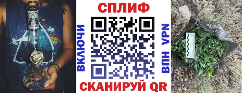 где найти   Облучье  блэк спрут вход  Канабис VHQ 